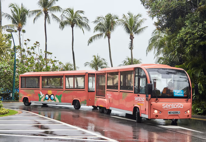 Sentosa Passenger Counting System preview
